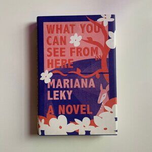 Softcover Book - What You Can See from Here by Mariana Leky